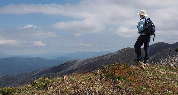 Walk Victoria's High Country - Intrepid Travel 7