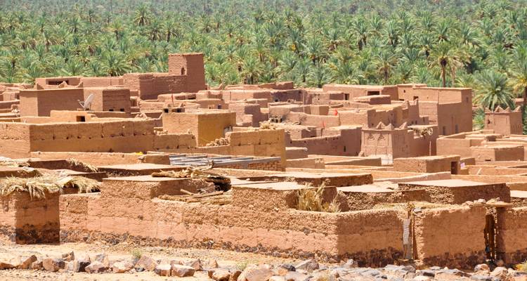 Le sud du Maroc : Le Sahara, la Côte et Marrakech - G Adventures 6