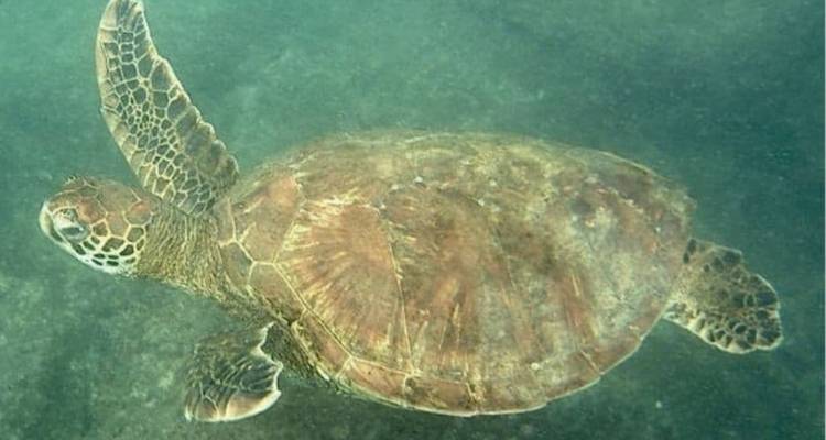 4 días de excursión completa por las Islas Galápagos - Rebecca Adventure Travel 2