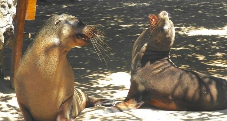 6 Day Galapagos Complete Island Hopping - Rebecca Adventure Travel 4