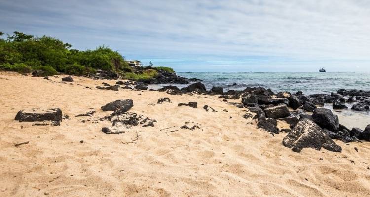 6 Day Galapagos Complete Island Hopping - Rebecca Adventure Travel 7