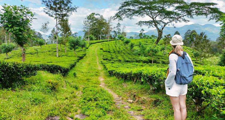 06 jours d'un Sri Lanka à petit prix - Apple Vacations Pvt Ltd 4