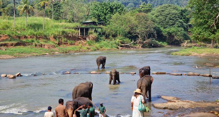 06 jours d'un Sri Lanka à petit prix - Apple Vacations Pvt Ltd 10