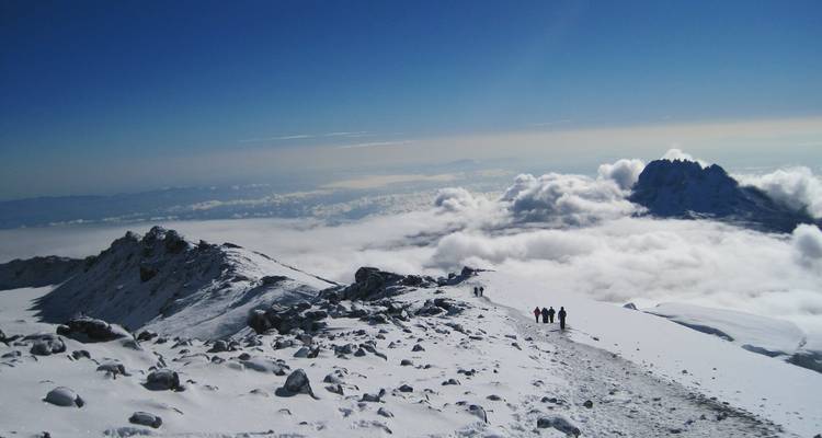 Escalada al Kilimanjaro - Ruta Lemosho - 8 Días - Marangu Treks 1