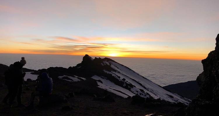 Escalada al Kilimanjaro - Ruta Lemosho - 8 Días - Marangu Treks 4