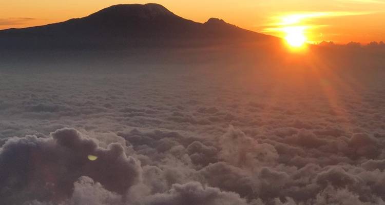 Escalada al Kilimanjaro - Ruta Lemosho - 8 Días - Marangu Treks 6