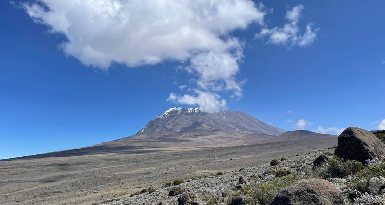 Escalada al Kilimanjaro - Ruta Lemosho - 8 Días - Marangu Treks 8