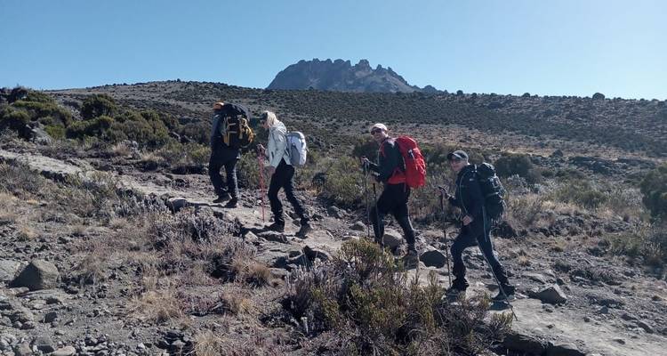 Escalada al Kilimanjaro - Ruta Lemosho - 8 Días - Marangu Treks 9