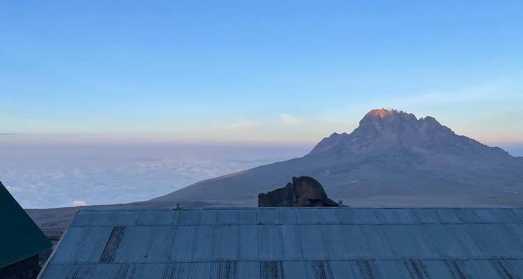 Escalada al Kilimanjaro - Ruta Lemosho - 8 Días - Marangu Treks 10