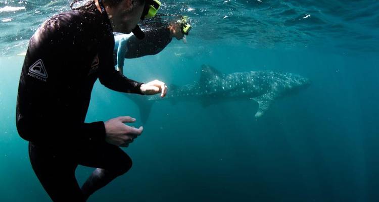 Walk Western Australia's Karijini & Ningaloo Reef - Intrepid Travel 4