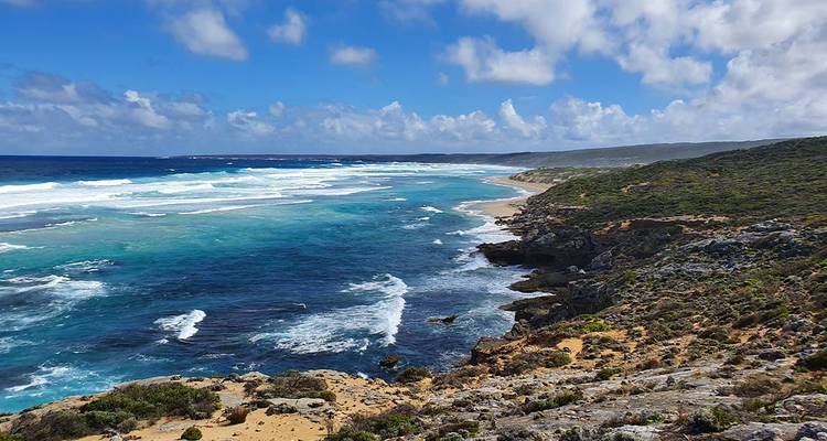 Recorre a pie el sendero salvaje de la isla Canguro - Intrepid Travel 7