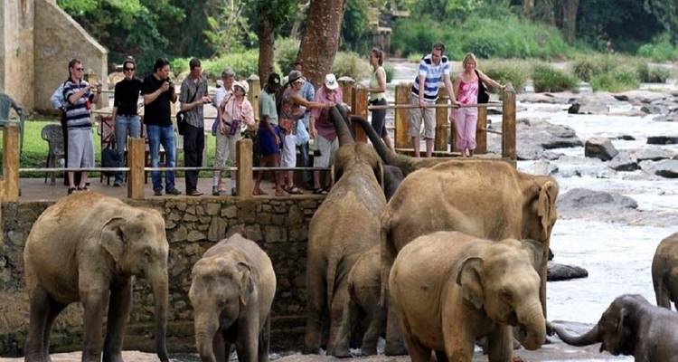 Sri Lankan Heritage & Adventure Journey - MTA Destination Management Company 6