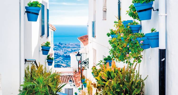 A charming, narrow street with colorful plants and a view of the sea.