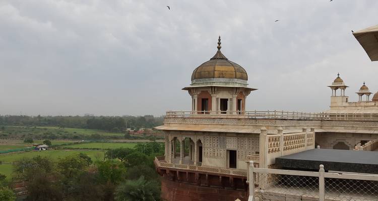 Visite guidée super aventureuse des villes les plus visitées de l'Inde : Delhi, Agra et Jaipur. - Vijay India Tours 8