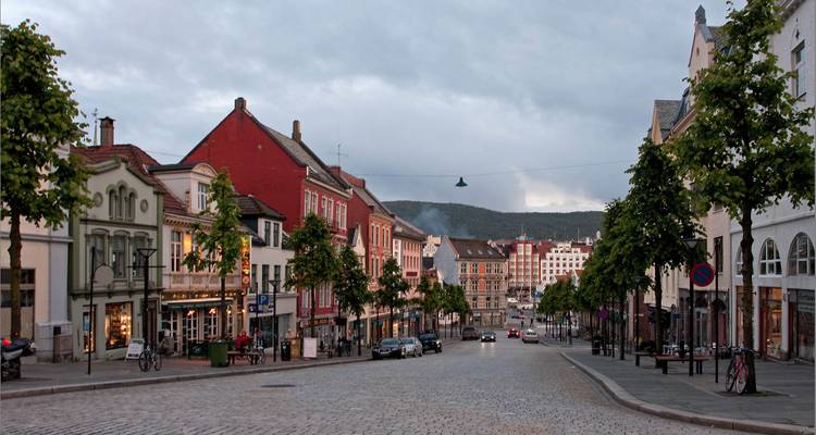 [La Norvège en un clin d'œil (Oslo à Bergen via Flam) :) 15% de réduction - Soldes de Noël et du Nouvel An - WiseYatra 2