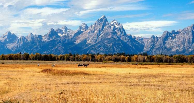 USA aventure à Yellowstone et Grand Tetons - 6 jours - Bucket List Group Travel LLC 4