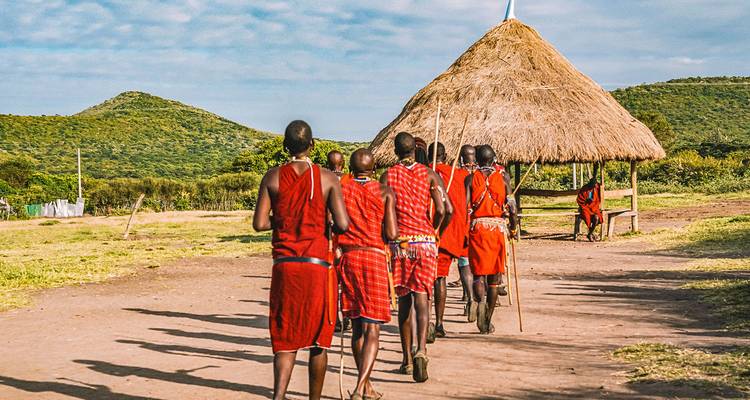Grupo de personas masái caminando hacia una choza de paja.