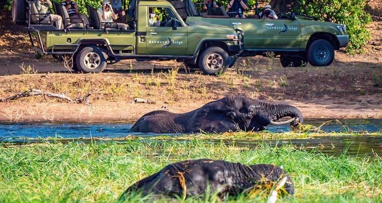 Viaje a Botsuana personalizado con safari en campamento Móvil - salida diaria - Agate Travel 10