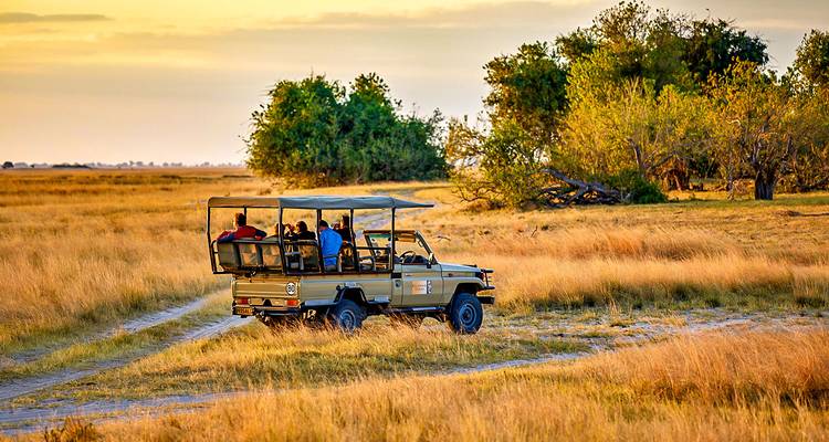 Viaje a Botsuana personalizado con safari en campamento Móvil - salida diaria - Agate Travel 1