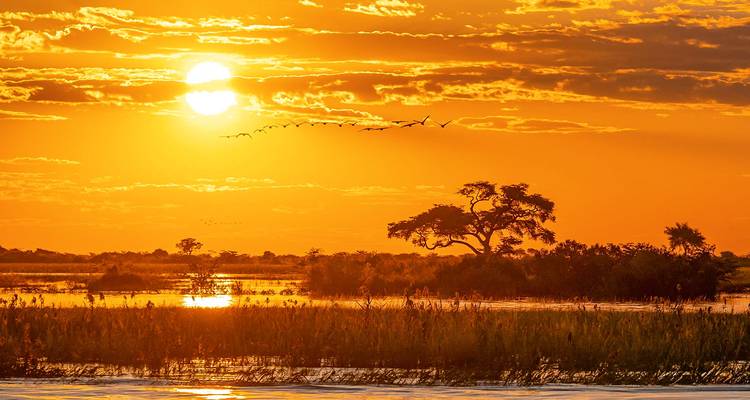 Viaje a Botsuana personalizado con safari en campamento Móvil - salida diaria - Agate Travel 9