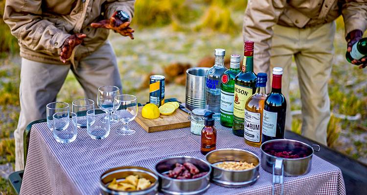 Viaje a Botsuana personalizado con safari en campamento Móvil - salida diaria - Agate Travel 7