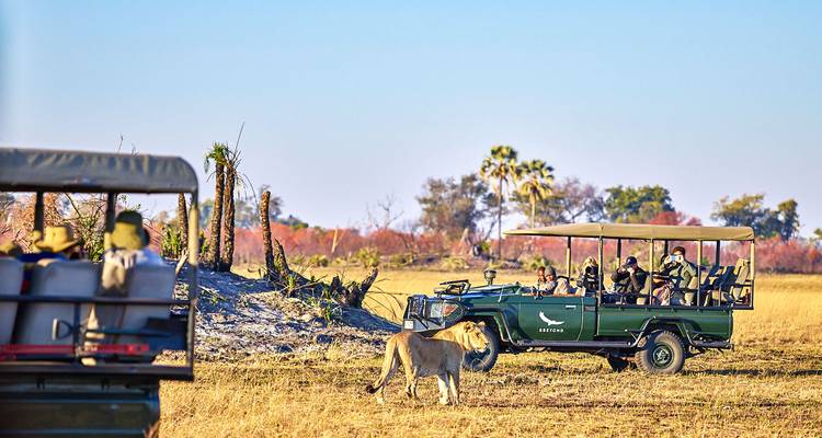 Aventura personalizado en Botsuana por el Delta del Okavango - salida diaria - Agate Travel 1