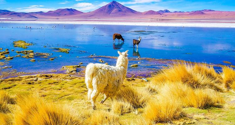 Viaje a Perú y Bolivia personalizado con salida diaria y guía privado - Agate Travel 5