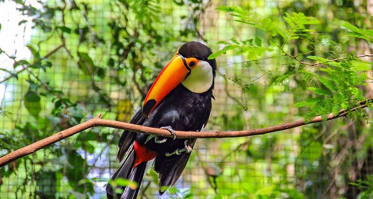 Tailor-Made Private Tour to Brazil and Peru with Daily Departure - Agate Travel 10