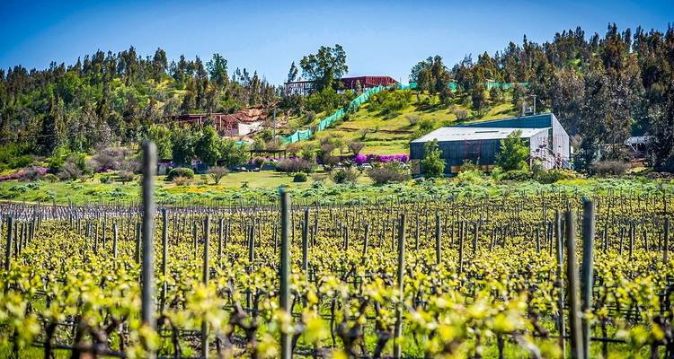 Circuito Privado de Lujo a Medida por Chile y Argentina, Salida Diaria - Agate Travel 10