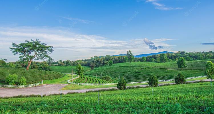 Merveilleux nord de la Thaïlande en 8 jours - Kanchanaburi/ Chiang Rai / Chiang Mai - PrestiGo Asia 9