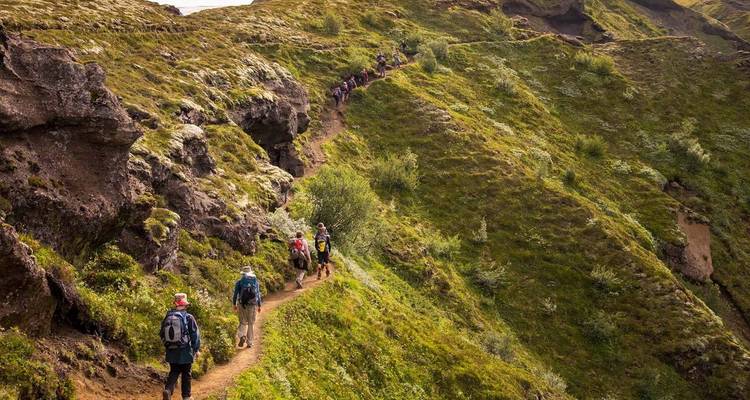 Grupo de senderismo caminando por un sendero verde y accidentado.