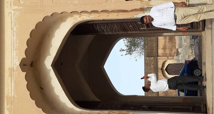 Circuito tigre y cultura de la India - Vijay India Tours 10