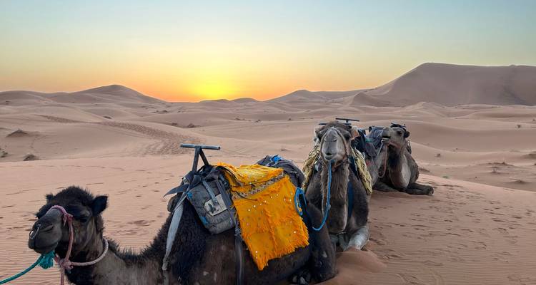 Circuit au Maroc 18 jours au départ de Casablanca - Morocco Sahara Desert Travel 8
