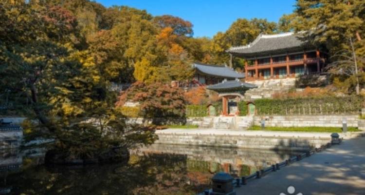 Viaje premium en grupo pequeño por Corea del Sur - Tweet World Travel 7