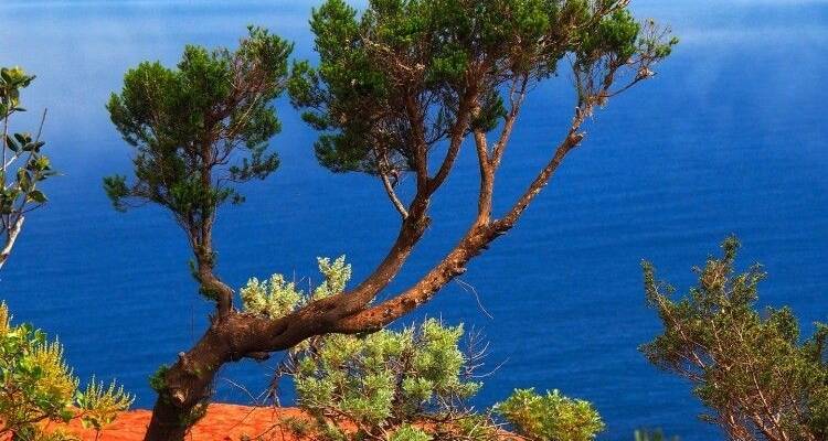Forêt de nuage, volcans et mer - DIAMIR Erlebnisreisen 6