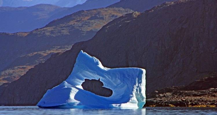 Entre icebergs et glaciers - DIAMIR Erlebnisreisen 6