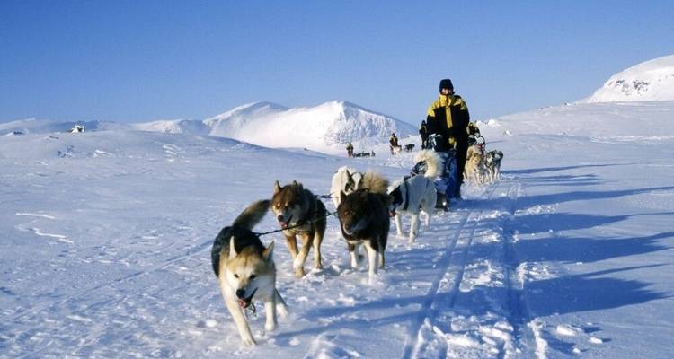 Husky Star Tours in the High Fells - DIAMIR Erlebnisreisen 1