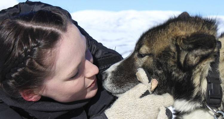 Husky Star Tours in the High Fells - DIAMIR Erlebnisreisen 3