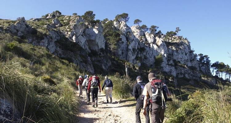 Un groupe de randonneurs marchant le long d'un sentier de montagne.