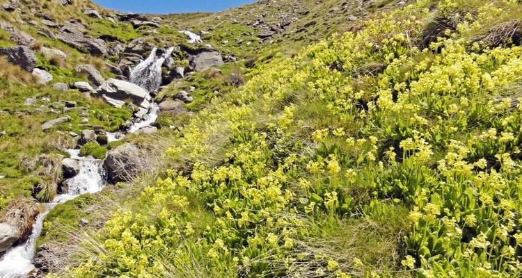 Trekking dans la Sierra Nevada : Ruta Oriental - DIAMIR Erlebnisreisen 7