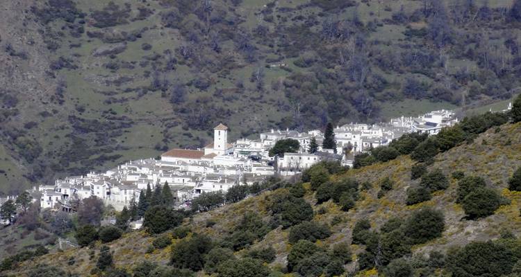 Un pueblo blanco situado en una ladera rodeado de vegetación.