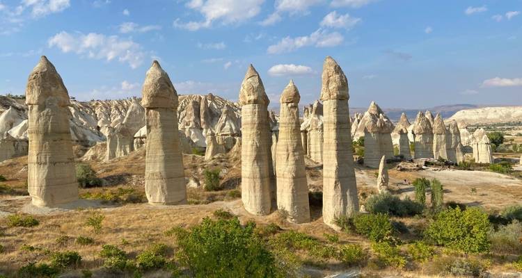Fairy chimneys in Cappadocia with lush landscape.