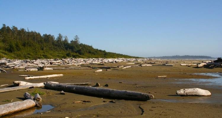 La magie de l'île de Vancouver - DIAMIR Erlebnisreisen 5