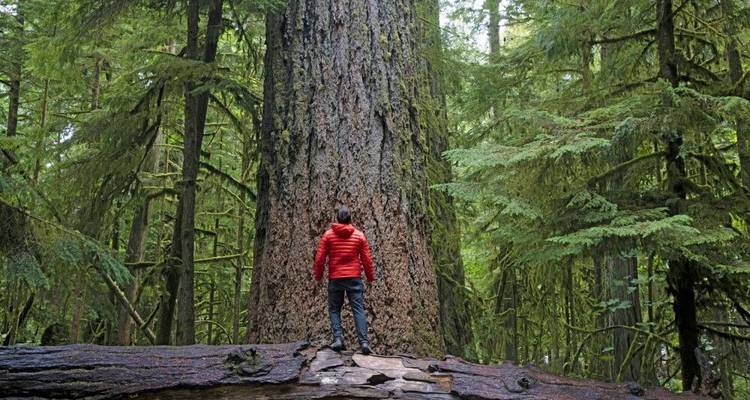 La magie de l'île de Vancouver - DIAMIR Erlebnisreisen 6