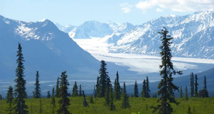 Snowy mountains with glaciers and forested foreground.