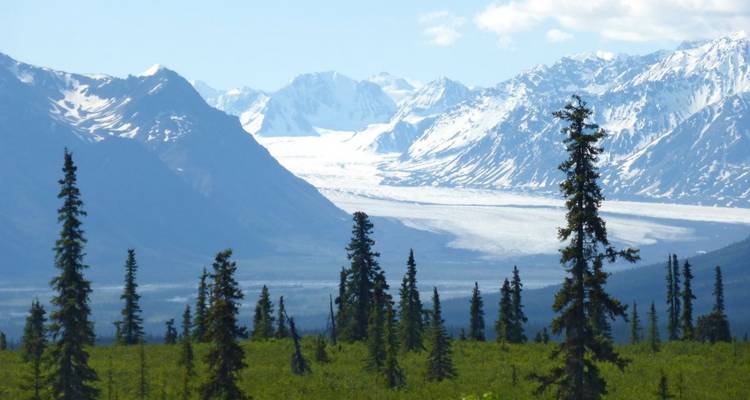 Snow-covered mountains and glacier with forest foreground.