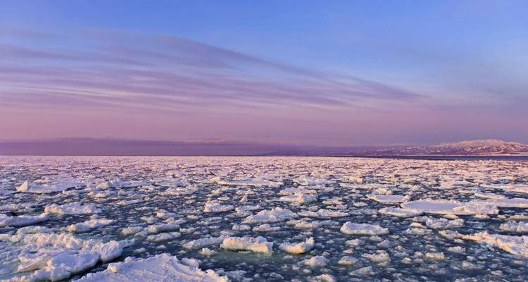 Glace de mer s'étendant jusqu'à l'horizon sous un ciel nuageux.