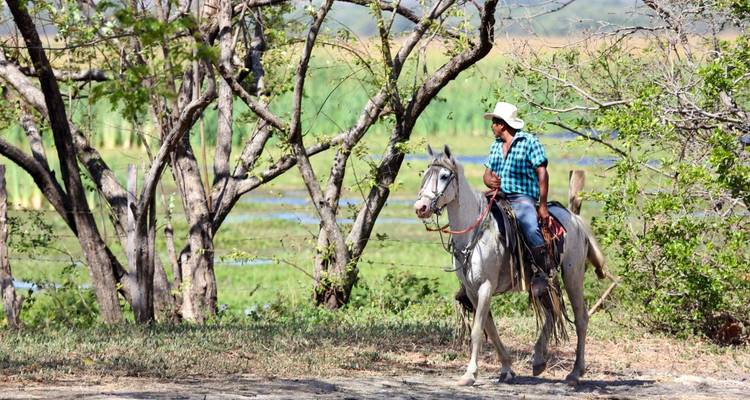 Man on horseback traversing a green pasture with mountains in the background.