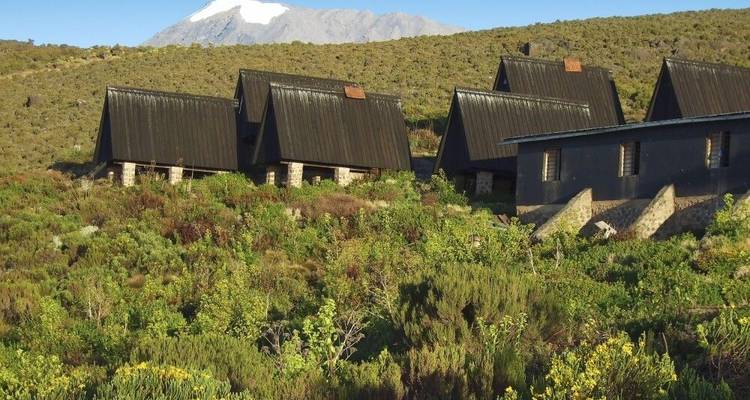 Monte Meru y Kilimanjaro - DIAMIR Erlebnisreisen 8