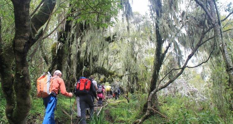 Monte Meru, Kilimanjaro y safari - DIAMIR Erlebnisreisen 8
